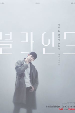 블라인드