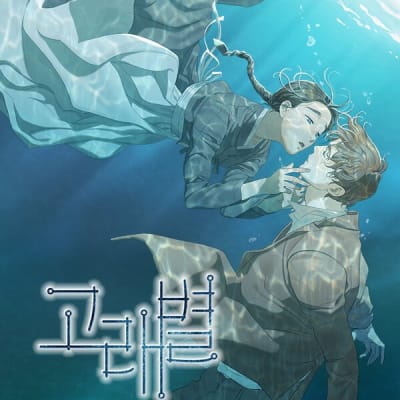 고래별 gallery 1