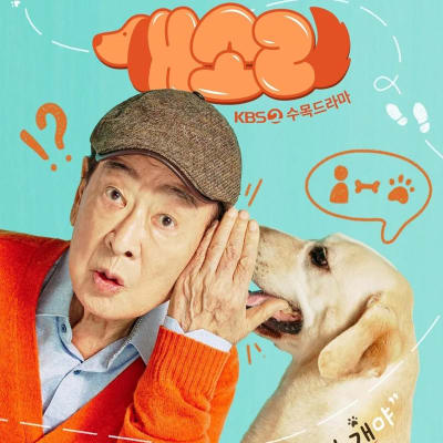 개소리 gallery 1