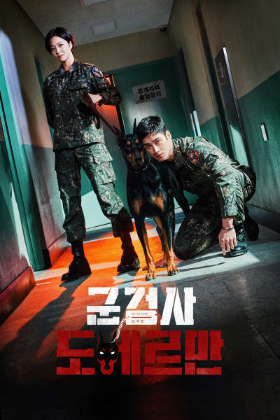 군검사 도베르만 1