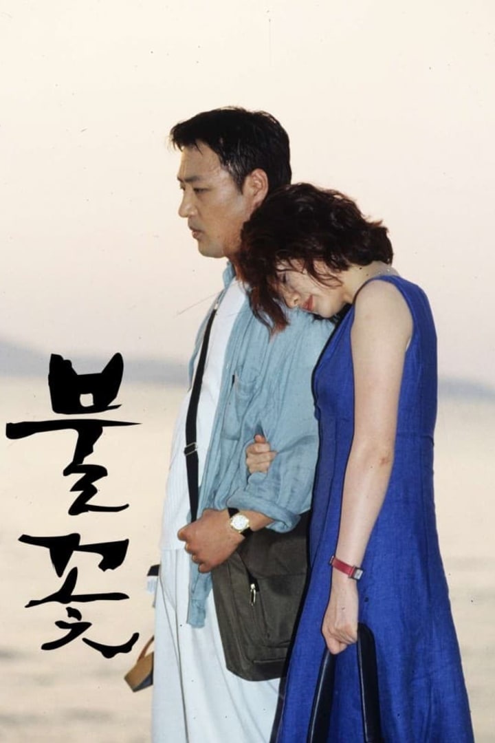 불꽃 1