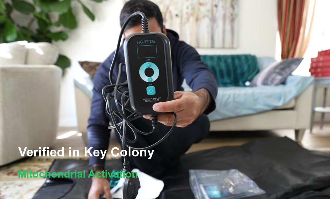 Mitochondrial Activation