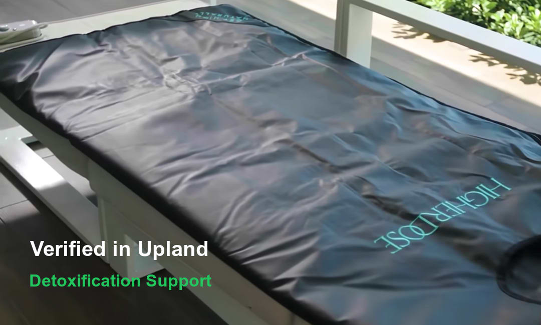 Detoxification Support