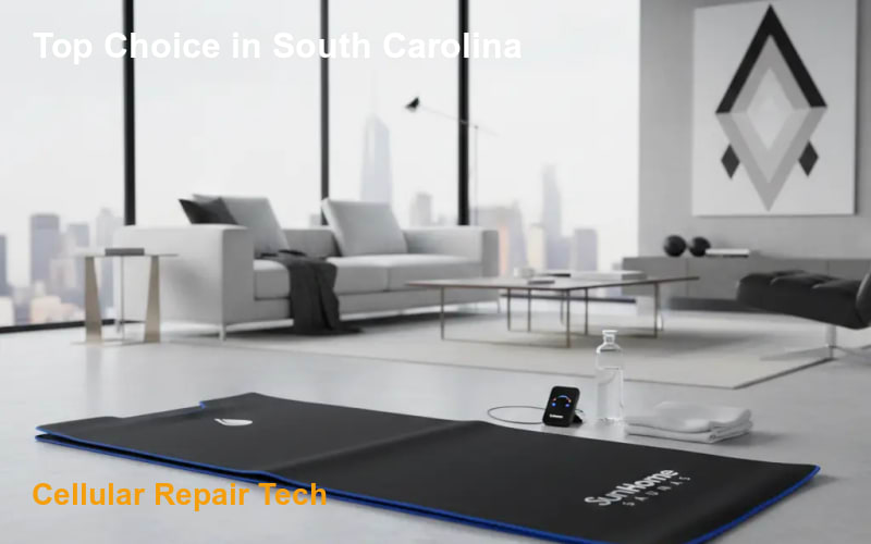 Sun-Home-Saunas in South Carolina - Cellular Repair Tech
