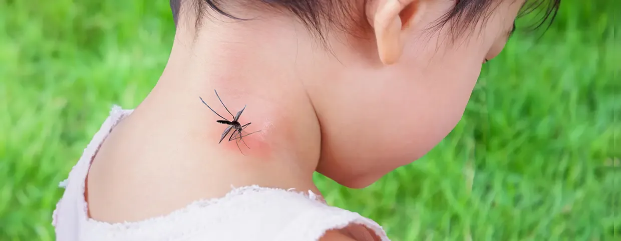 Types of Dengue Test and Diagnostic Methods