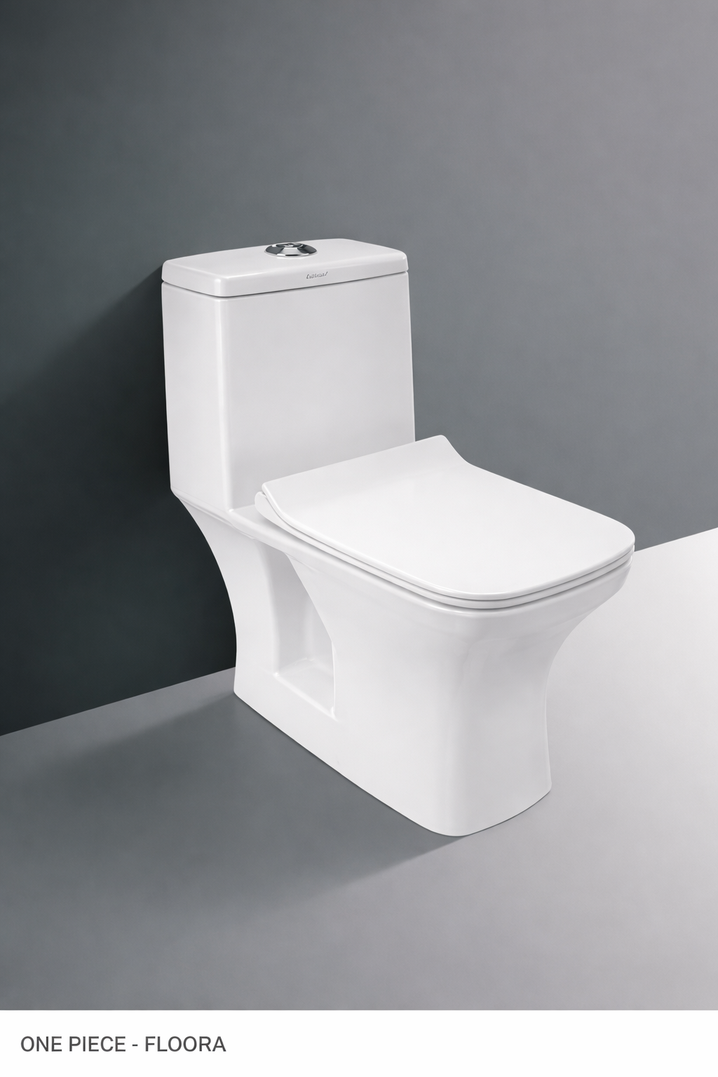 Premium One Piece Toilet Manufacturer - Ceramic Sanitaryware Axpert Cera India - Product 2