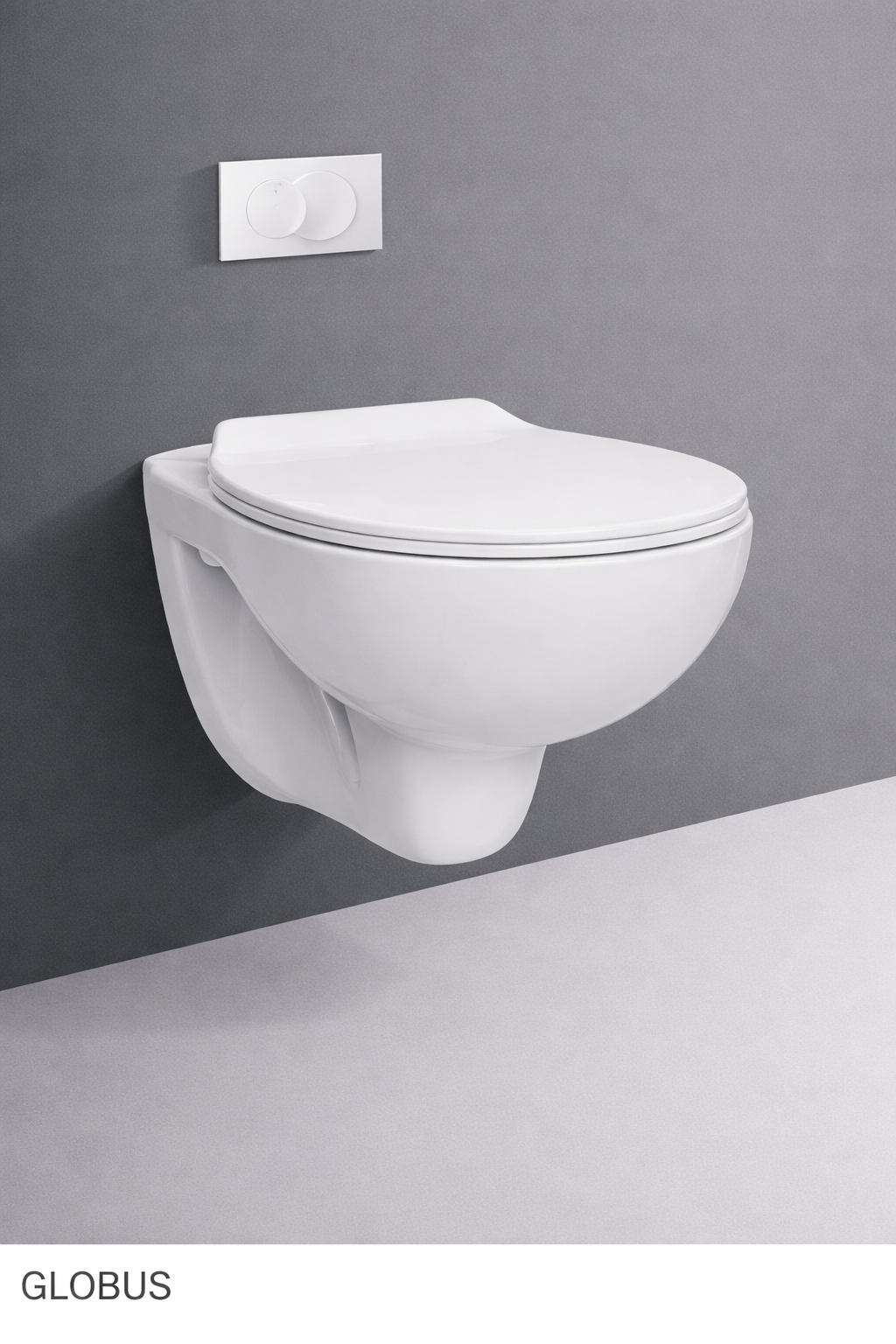 Wall Hung Toilet