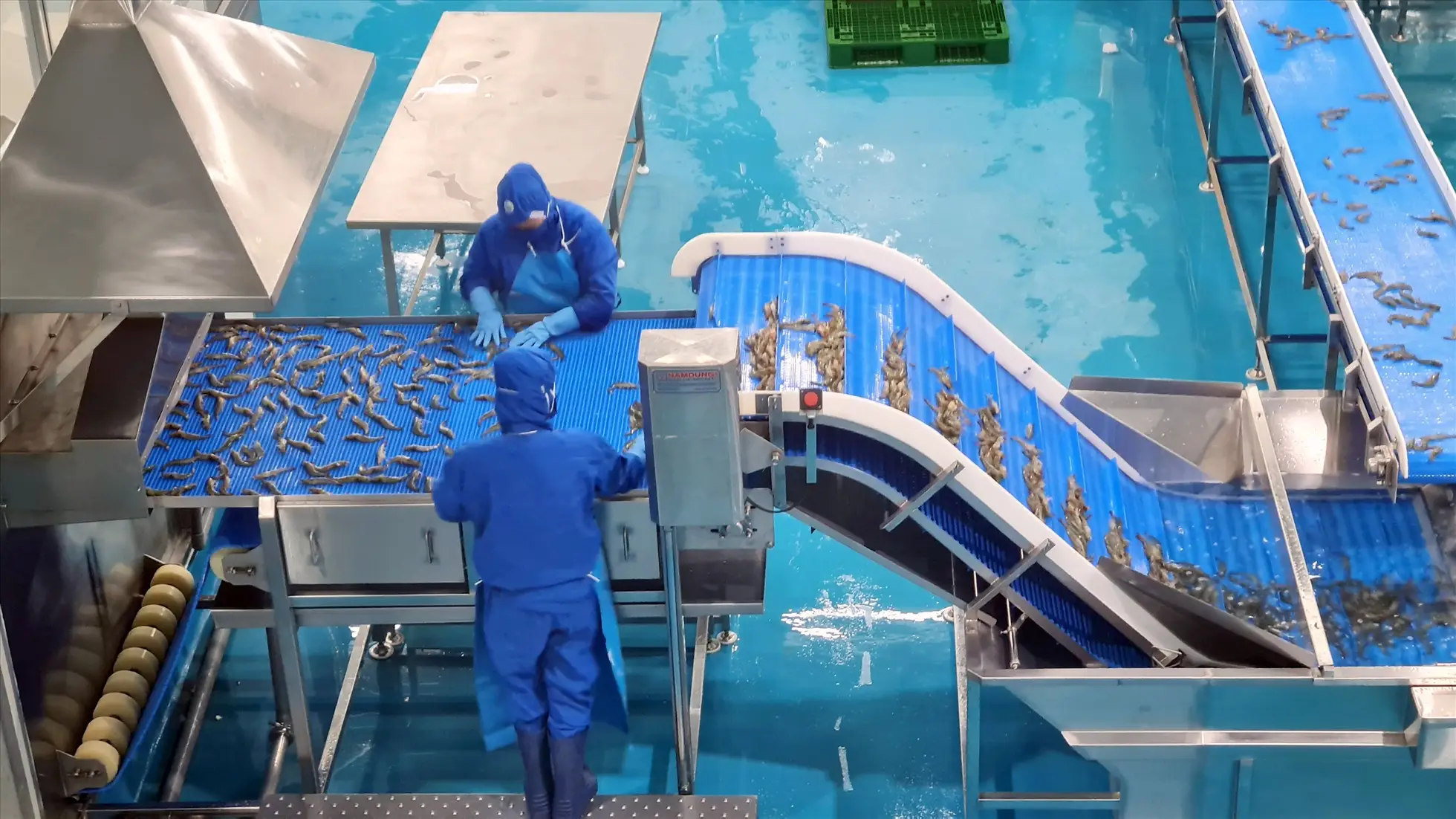 Khám phá Nhà máy sản xuất thủy tinh ở Việt Nam - Đòn bẩy cho ngành công nghiệp phụ trợ