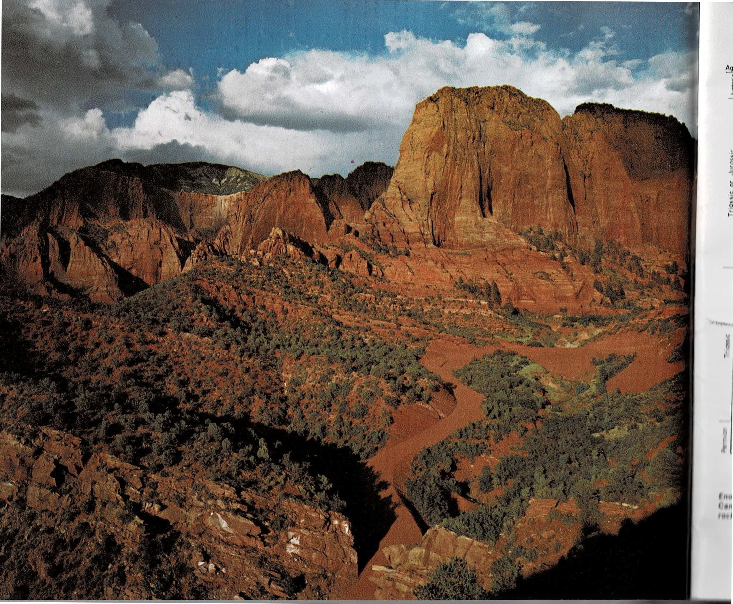 A two-page spread: at left, a full-bleed color photograph of the Kolob Finger Canyons, tall vertical red sandstone prows and a butte lit gold under a partly cloudy sky, with green pinyon-juniper slopes and a canyon wash below; at right, a labeled cross-section diagram titled Rock Formations of Zion National Park, stacking named rock layers from the Kaibab Formation up through the Navajo Formation to the Carmel Formation, beside a color photograph of Bear Trap Canyon, a narrow, tree-shaded slot canyon.
