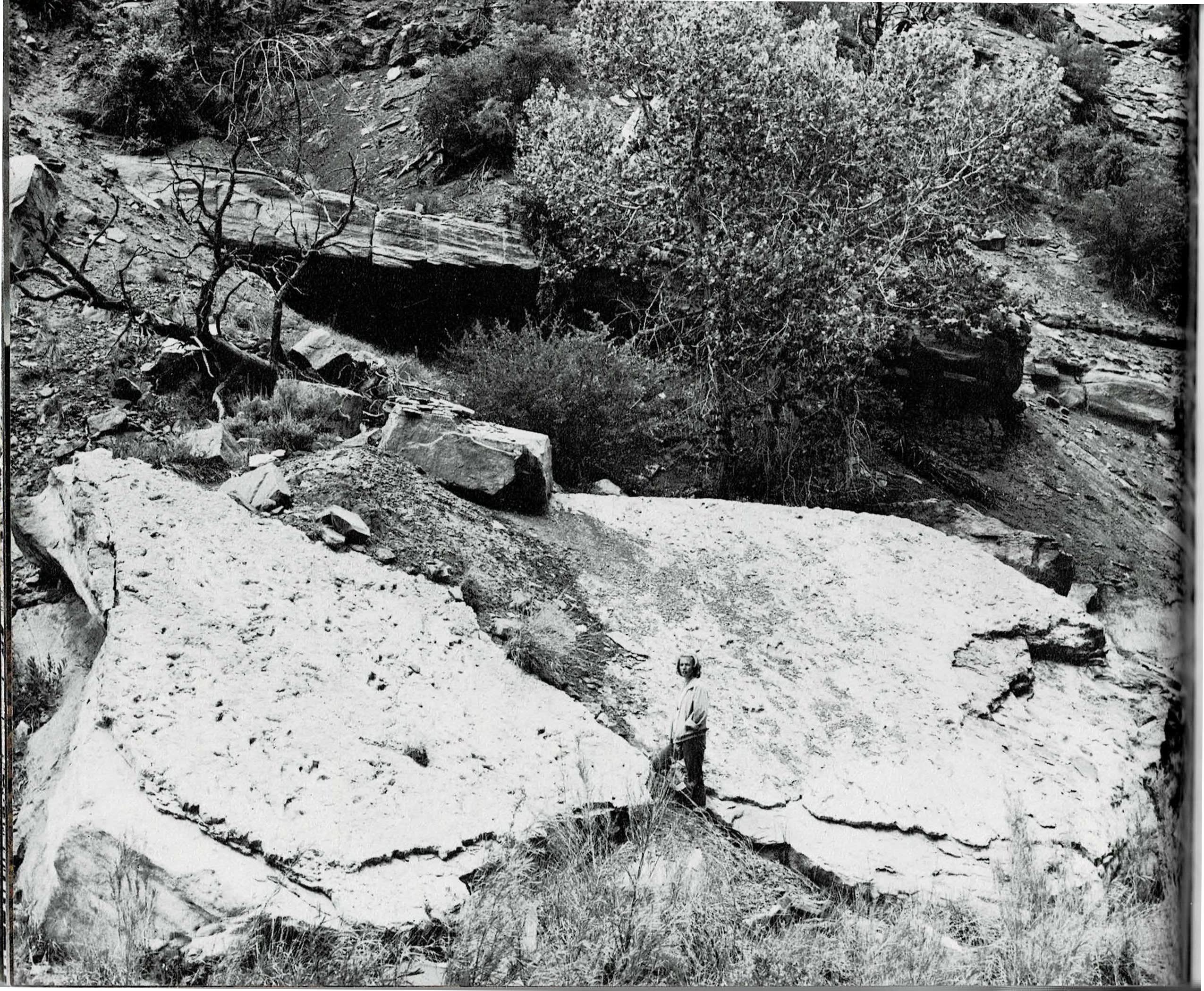 A two-page spread: at left, a full-bleed black and white photograph looking down on broad, pale sandstone slabs marked with large three-toed dinosaur tracks, a person standing beside them for scale; at right, a text column concluding a quoted description of Zion's towers and temples and opening a new passage on national parks and human impact, beside a black and white photograph of a tall waterfall pouring down a sheer canyon wall after a thunderstorm.