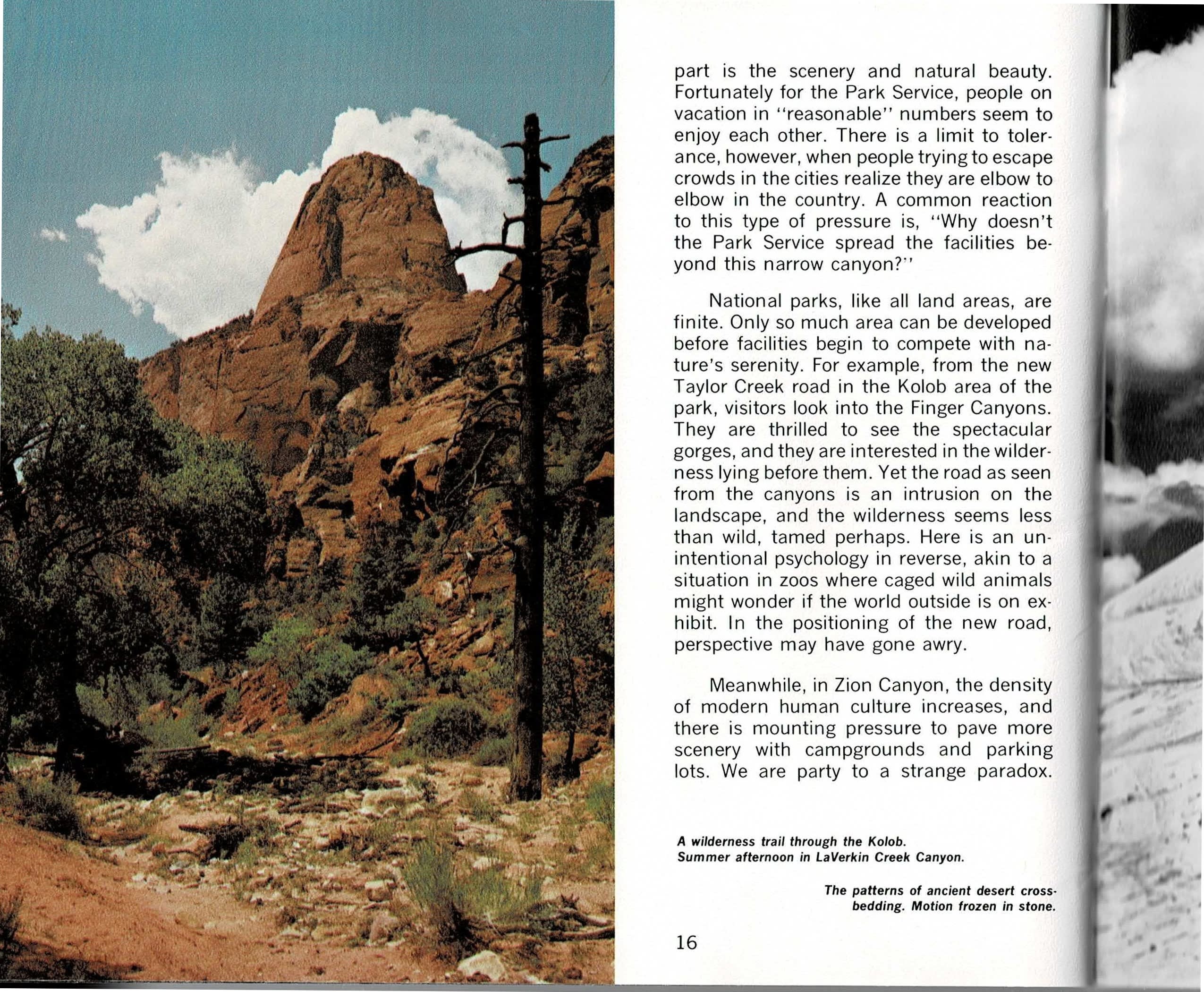 A three-panel spread: at left, a color photograph of a red sandstone peak and a bare standing dead tree above LaVerkin Creek Canyon in the Kolob, pinyon-juniper forest below; in the center, a text column continuing the book's argument about crowding and road-building pressure in Zion Canyon; at right, a full-bleed black and white photograph looking down a steep, crossbedded sandstone slope, a single person standing on the rock for scale.