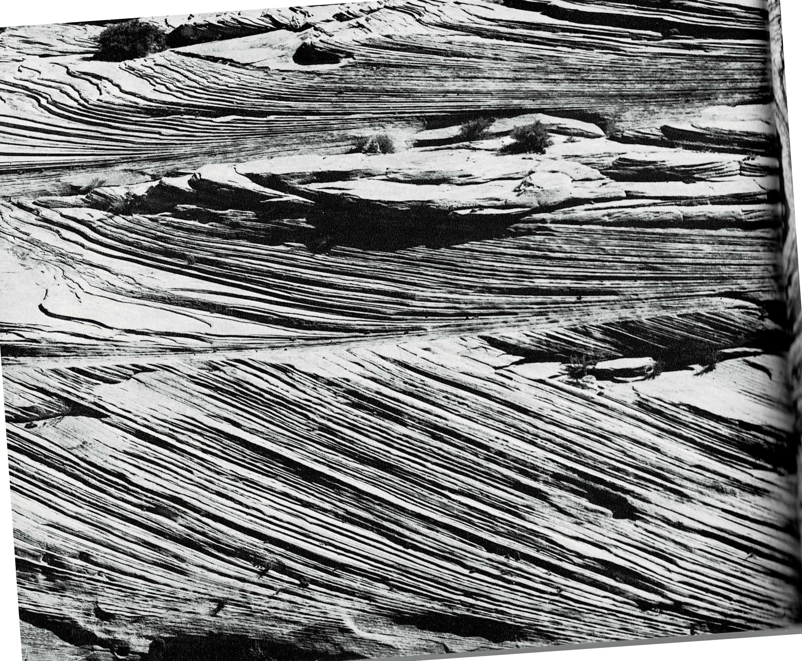 A single continuous full-bleed black and white photograph spanning both pages: a close, steep view of crossbedded Navajo Sandstone, dozens of thin diagonal laminations sweeping across the rock face like frozen currents, meeting at a matching angle across the gutter. No text, captions, or page numbers are printed on either page.