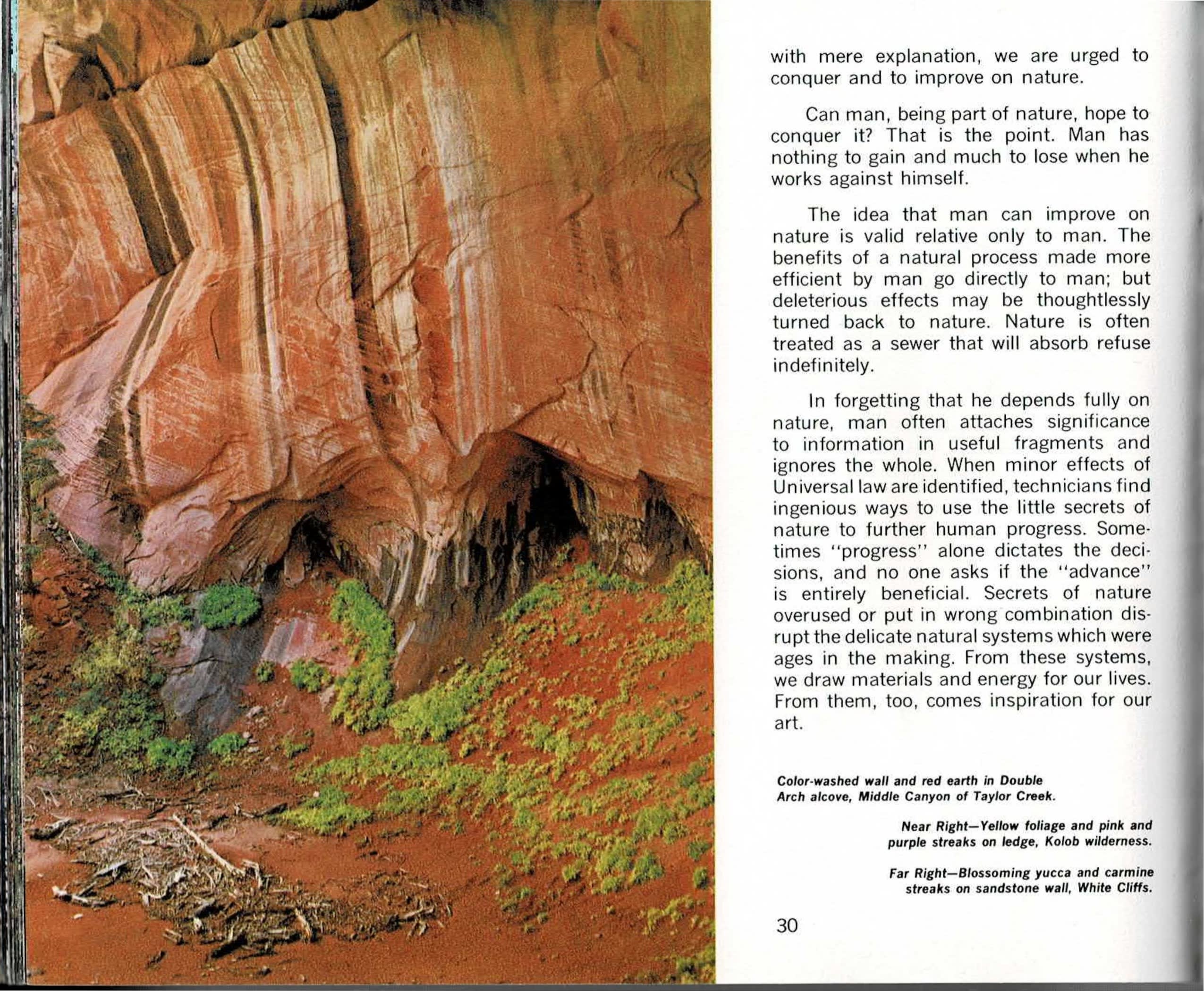 A three-panel spread: at left, a full-bleed color photograph looking into the red sandstone alcove of Double Arch in Taylor Creek's Middle Canyon, water-streaked walls rising above a shadowed opening, with red earth, green shrubs, and pale driftwood scattered on the canyon floor below; in the center, a text column continuing the book's argument about industrialized humanity's relationship to nature; at right, two stacked color photographs - a sandstone ledge banded yellow, pink, and purple beneath golden autumn foliage in the Kolob wilderness, and a blossoming yucca stalk against a carmine-streaked sandstone wall in the White Cliffs.