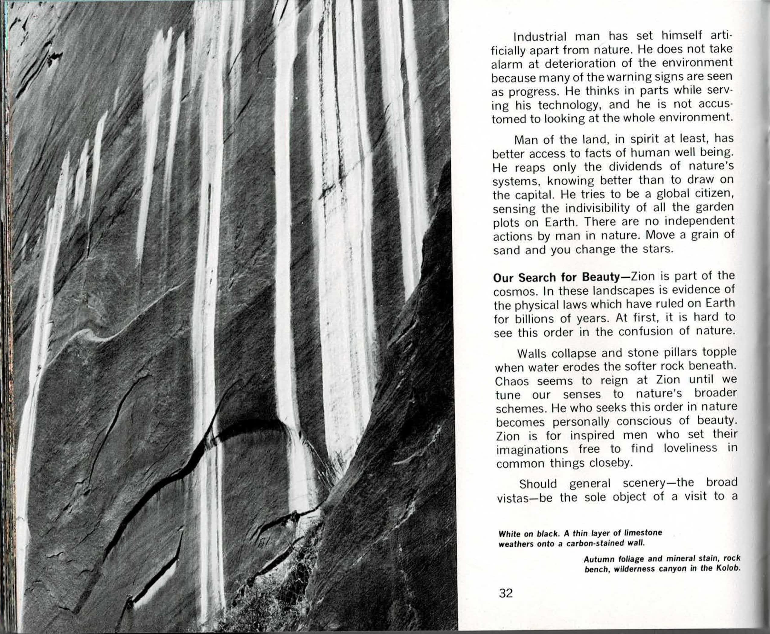 A two-page spread: at left, a full-bleed black and white photograph of a near-vertical sandstone wall streaked with pale mineral deposits against a dark, carbon-stained surface, thin white lines running like water trails down the rock; at right, a text column that finishes one argument, opens another under the run-in subhead 'Our Search for Beauty,' and faces a full-bleed color photograph of a red sandstone cliff streaked white with mineral seep, framed by dense green conifers and orange autumn foliage along its base.