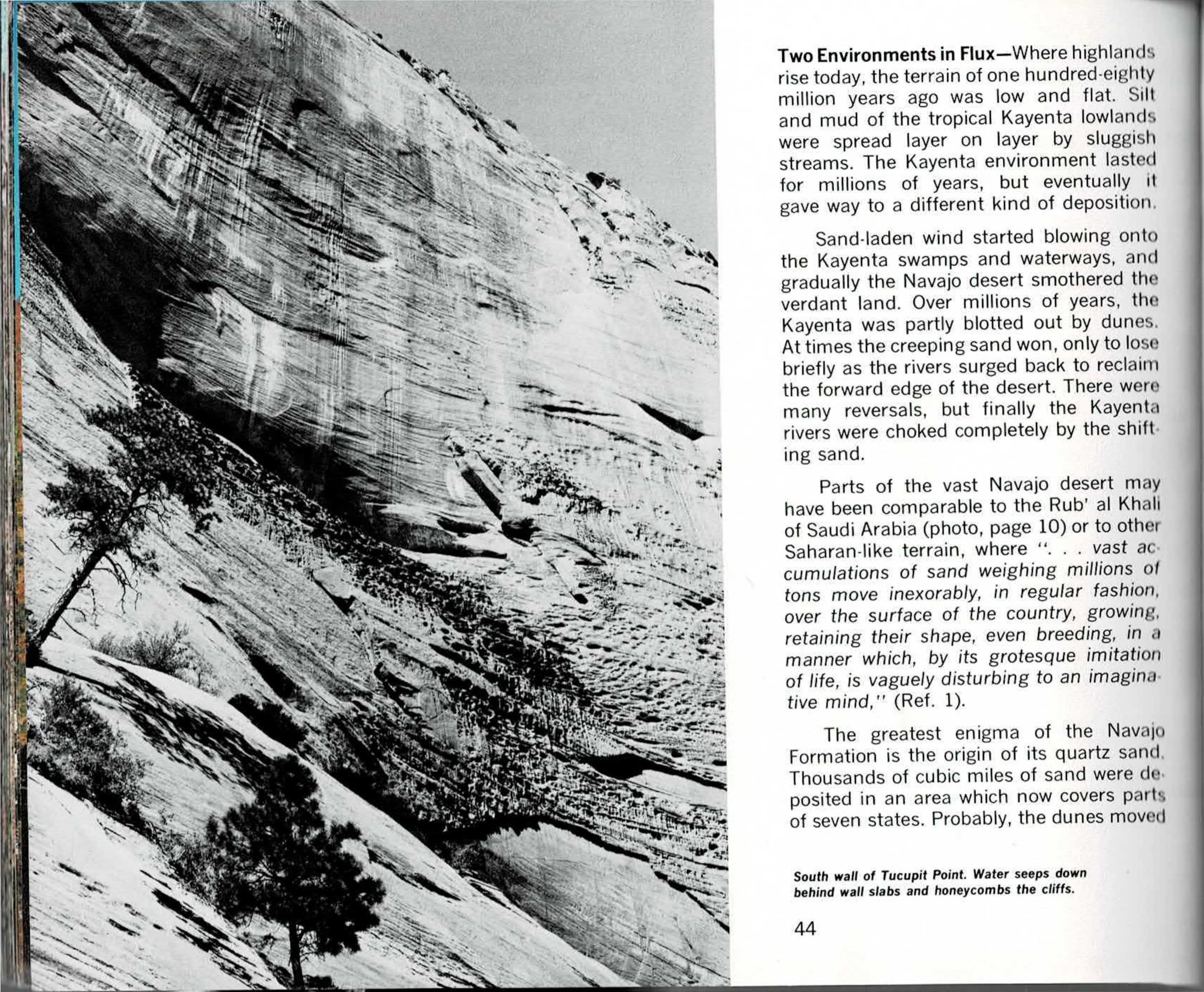 Black-and-white photograph of a steep, streaked sandstone wall with a lone pine tree in the foreground on the left page, facing a printed text column and a color photograph of a large sandstone alcove wall with pale mineral streaks and a patch of blue sky on the right page.