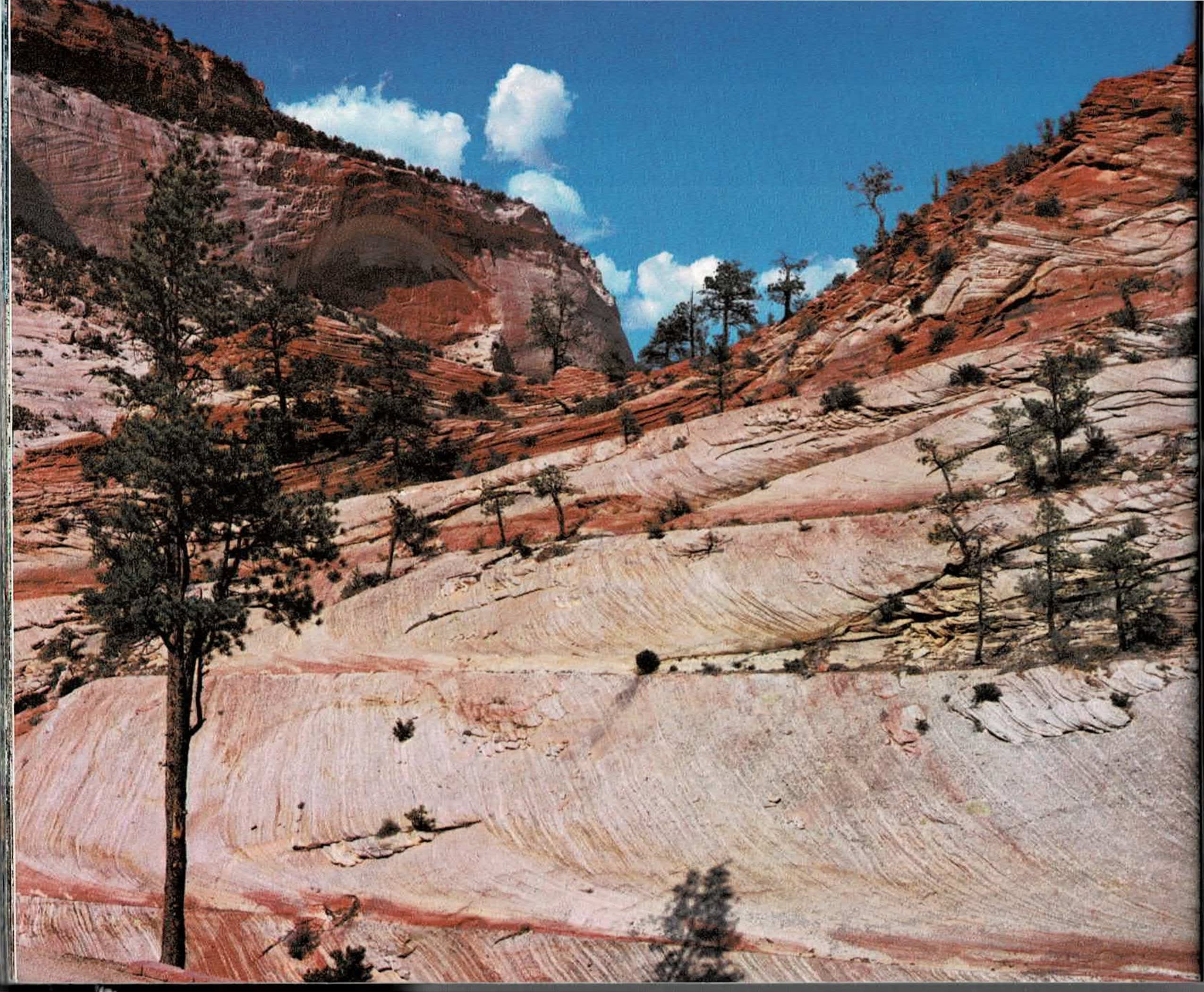 Colour spread with a full-bleed photo of pale, eroded slickrock terrain scattered with pines beneath red cliffs and a distant natural arch on the far left, printed text for page 53 running down the center including the run-in heading Pathways for Erosion, and a black-and-white photo of smooth, water-carved potholes and pools on the far right.