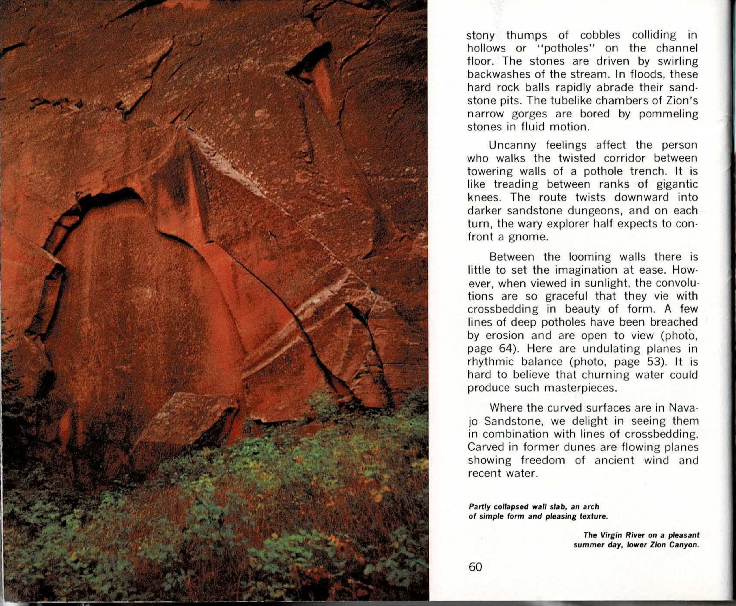 Color spread with printed text columns for page 60, continuing a sentence broken across the photo-only page 59, above a color photo of a deep red sandstone alcove with a partly collapsed, arch-shaped wall slab and a band of green vegetation along its base, facing a full-bleed color photo on page 61 of the Virgin River valley lined with cottonwoods beneath a red sandstone peak.