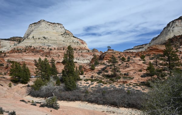 East Rim - Zion National Park