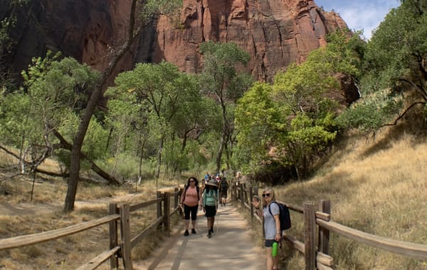Wading through The Narrows, Zion National Park