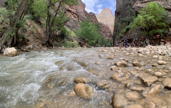 The Virgin River through The Narrows, Zion