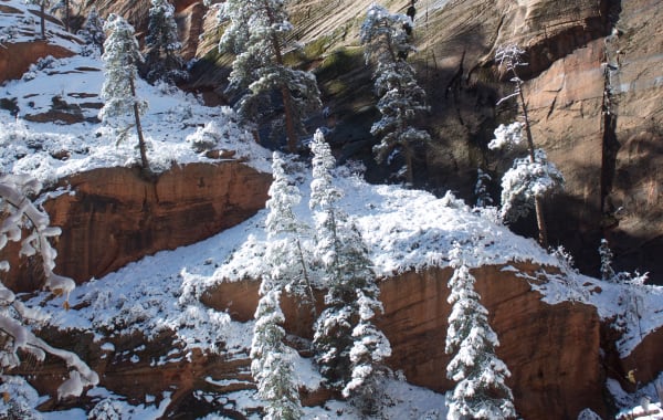 Angels Landing, Zion National Park