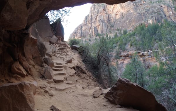 A carved sandstone alcove with stone steps along the Canyon Overlook Trail in Zion