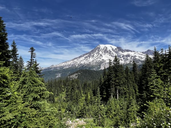Mount Rainier National Park