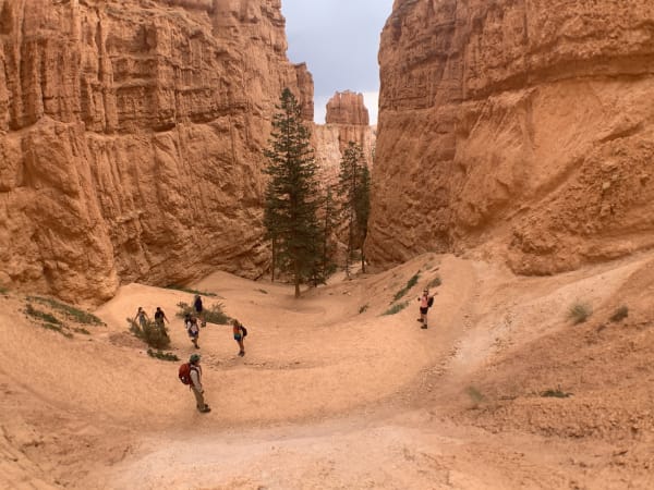Zion region photography - Bryce & Hoodoos