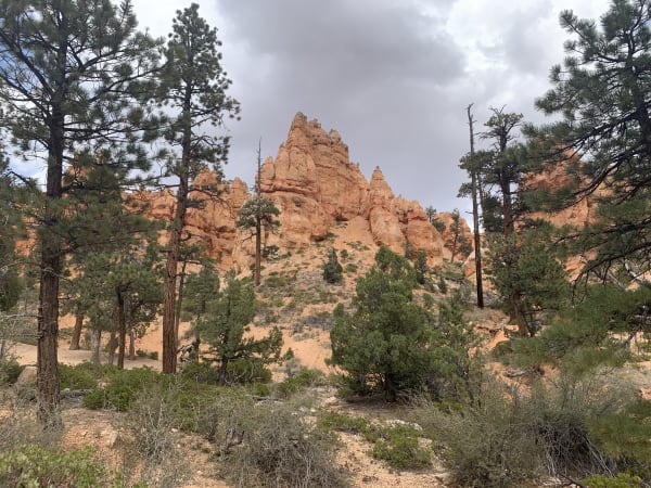 Zion region photography - Bryce & Hoodoos
