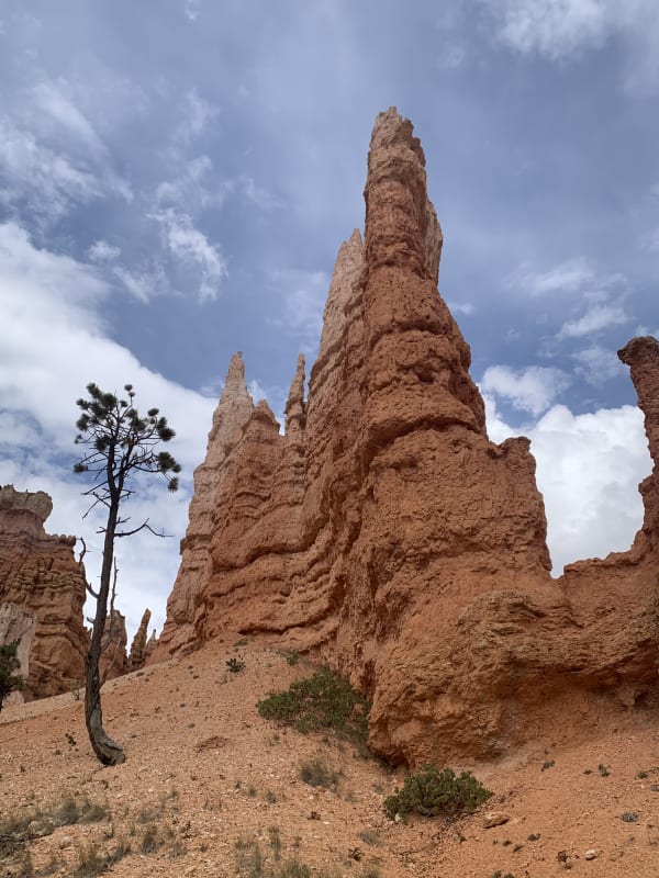 Zion region photography - Bryce & Hoodoos