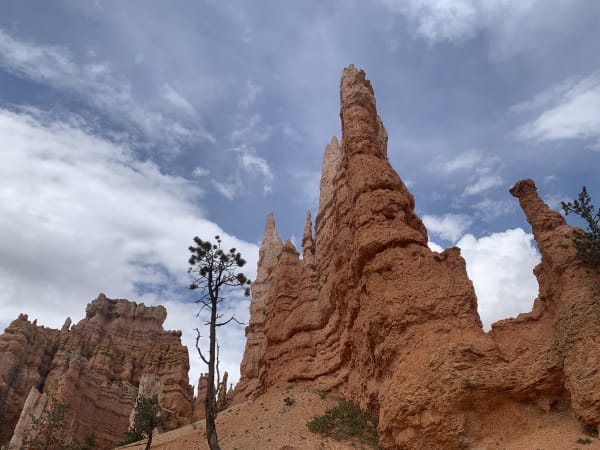 Zion region photography - Bryce & Hoodoos