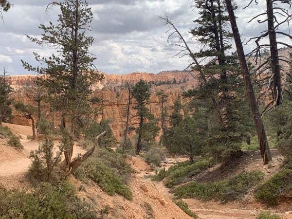 Zion region photography - Bryce & Hoodoos