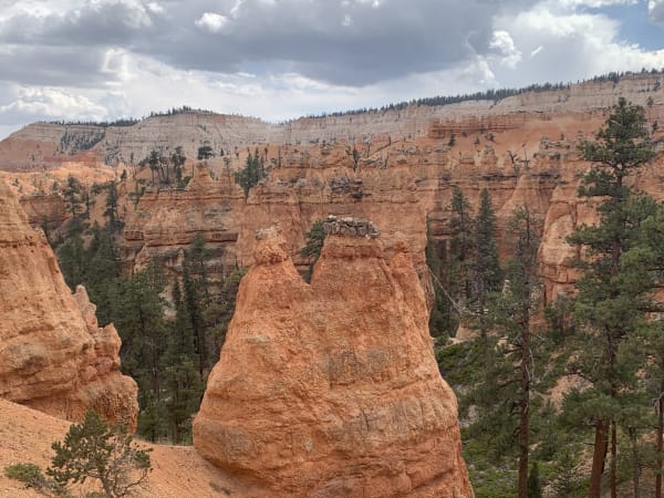 Zion region photography - Bryce & Hoodoos