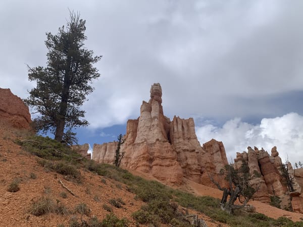 Zion region photography - Bryce & Hoodoos
