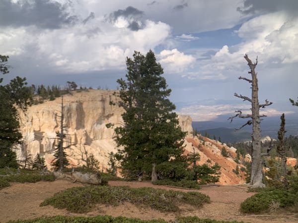 Zion region photography - Bryce & Hoodoos
