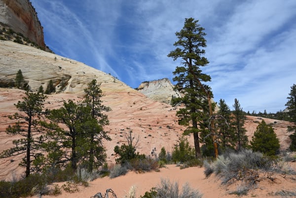Zion region photography - Zion Canyon