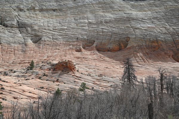 Zion region photography - Zion Canyon