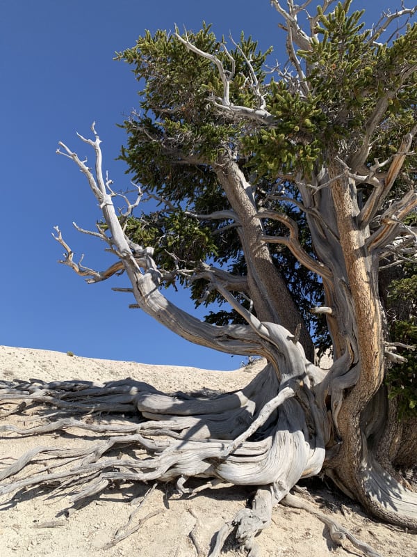 Zion region photography - Backcountry
