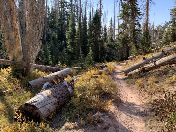 Zion region photography - Backcountry