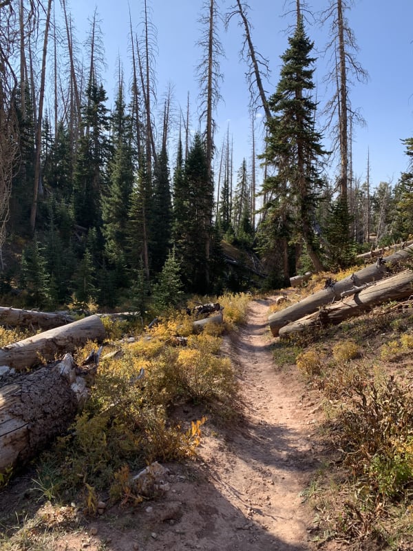 Zion region photography - Backcountry