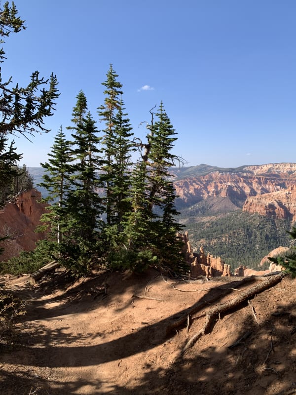 Zion region photography - Backcountry