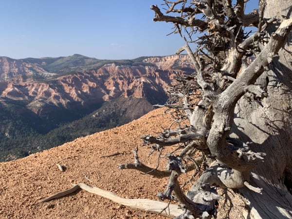 Zion region photography - Backcountry