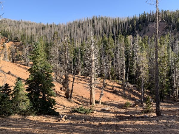 Zion region photography - Backcountry