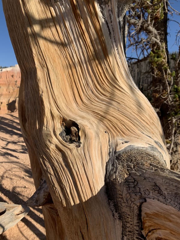 Zion region photography - Backcountry