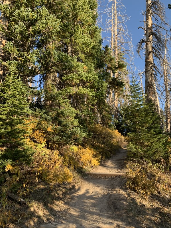 Zion region photography - Backcountry