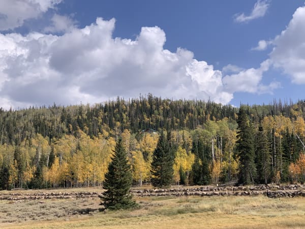 Zion region photography - Backcountry