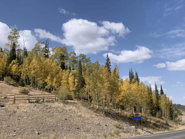 Zion region photography - Backcountry