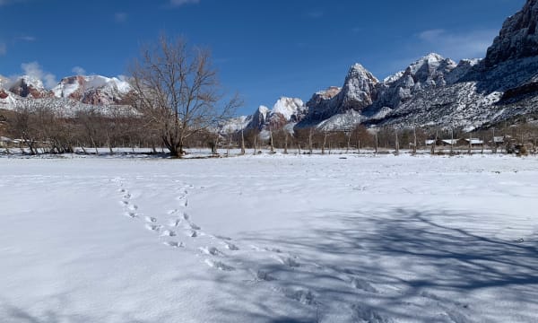 Zion region photography - Winter & Snow