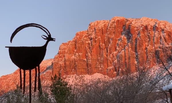 Zion region photography - Winter & Snow
