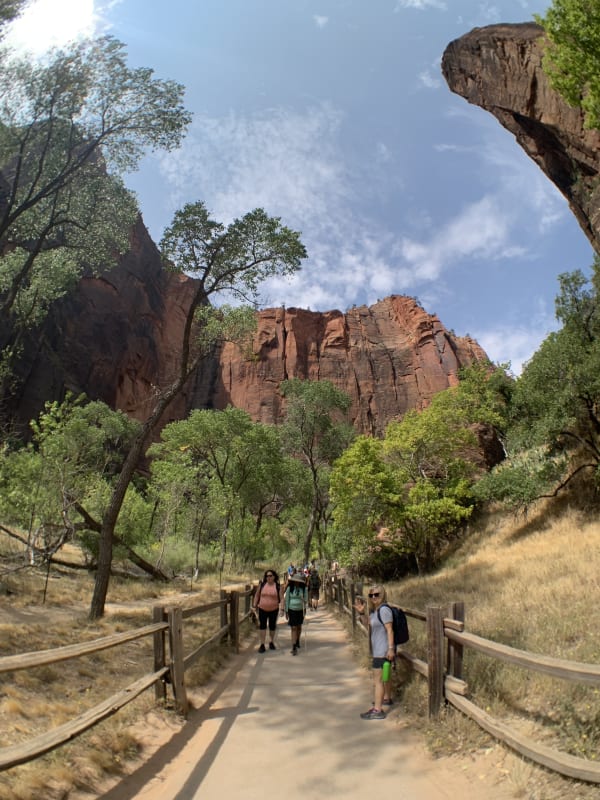 Zion region photography - Zion Canyon